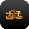 太子v1.0.2
