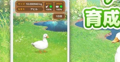 鸭子培养v1.2