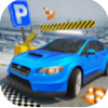 Parking Drive 3Dv6.0