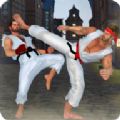 空手道格斗大师v1.2.6