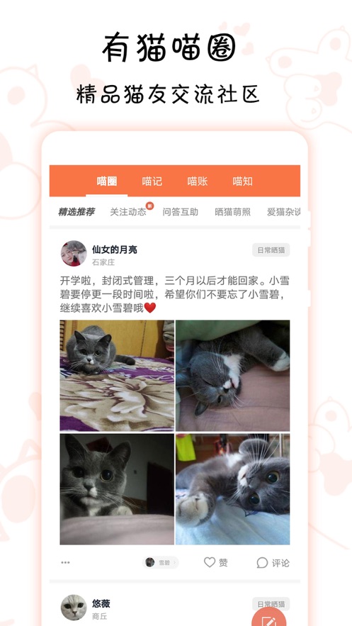 领喵v4.3.1