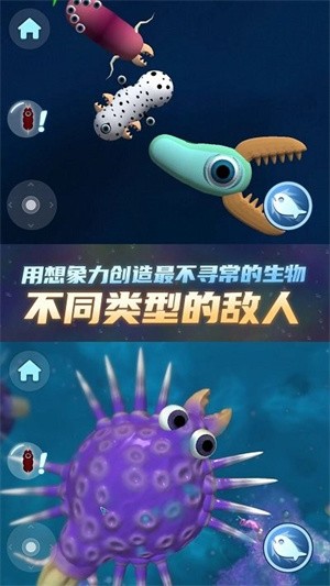 物种进化器v1.0