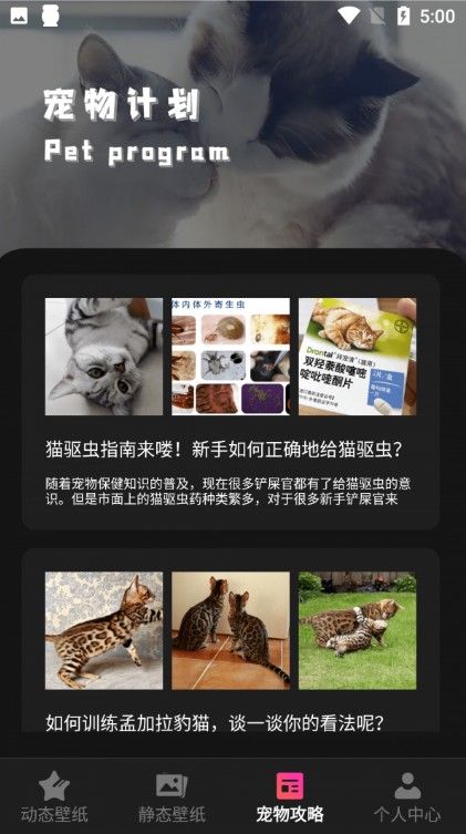 猫咪壁纸v1.1