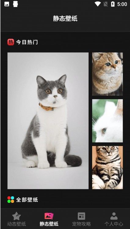 猫咪壁纸v1.1