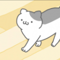 猫咪真可爱v2.8.6