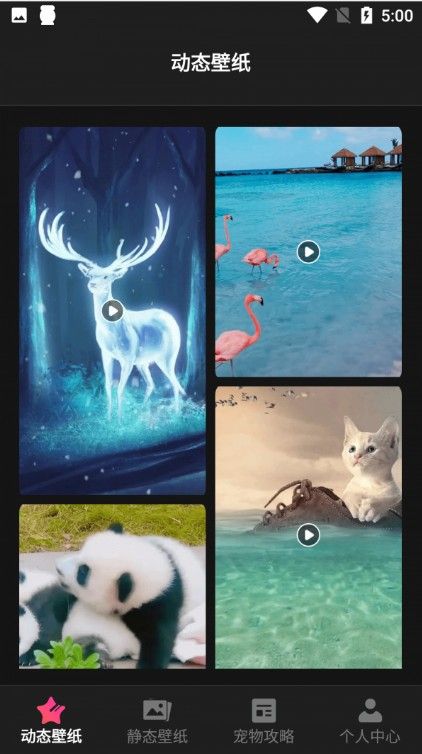猫咪壁纸v1.1