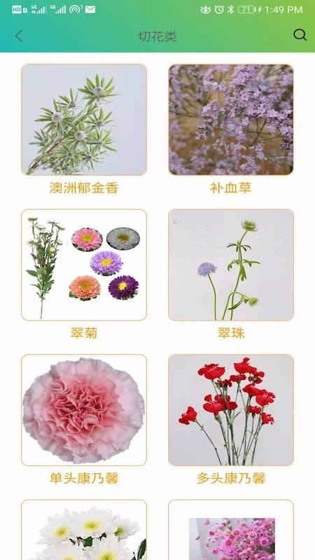 缤纷种苗v2.0.3