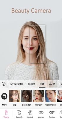 XFacev1.0.4