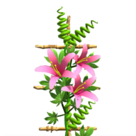 花架大师v0.1