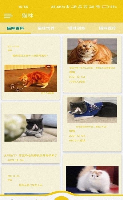 博猫养猫v1.0.1