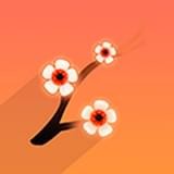 红钻漫画v1.0.2