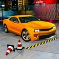 泊车大师模拟器v1.0