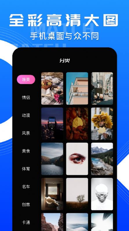 小鸟主题壁纸v1.1