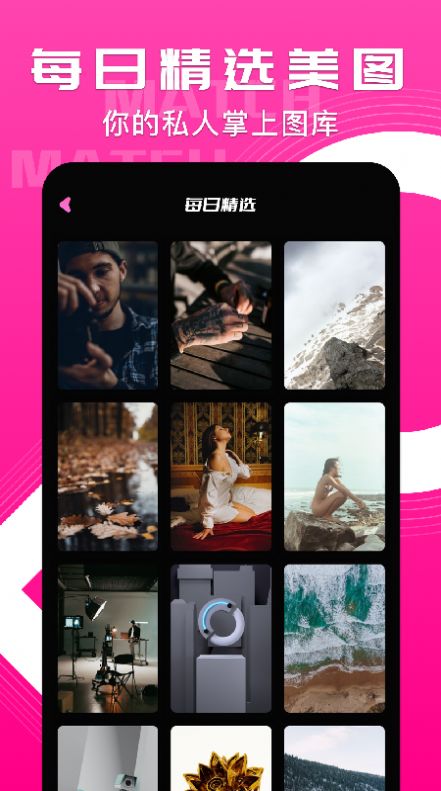 小鸟主题壁纸v1.1