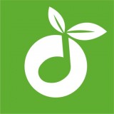 草根音乐v1.0.18