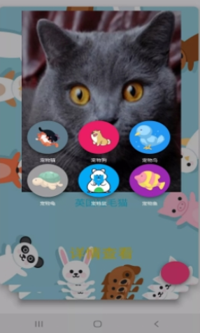 博猫养猫v1.0.1