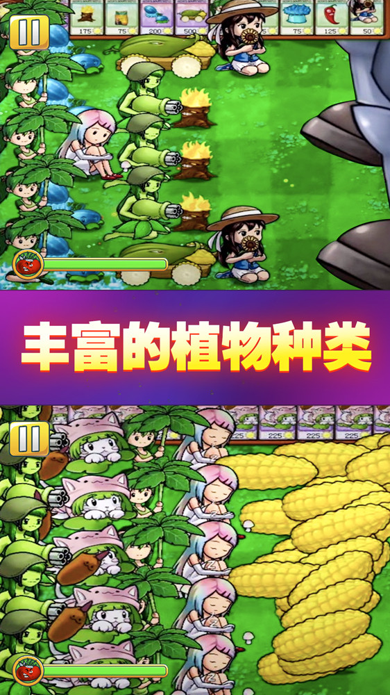 战阵风云v1.0