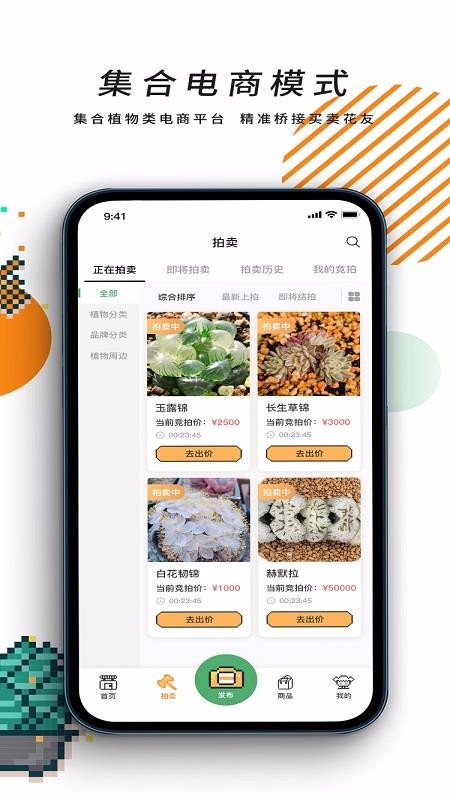 一植拍v1.0.4