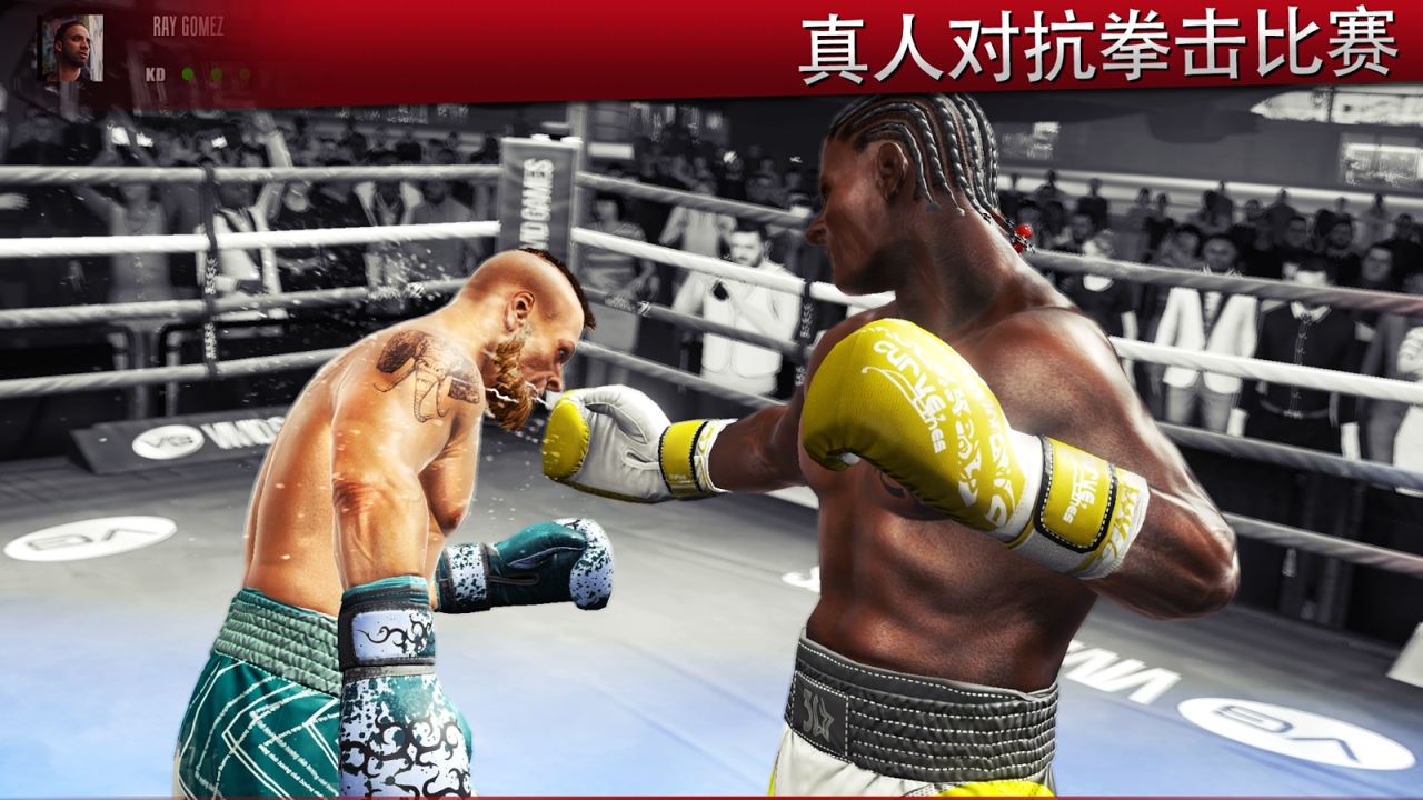 真实拳击2v1.9.12
