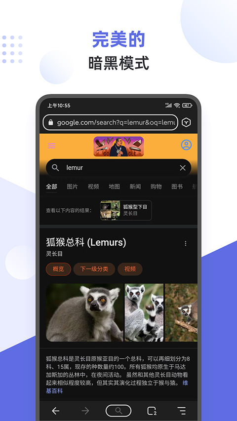 狐猴浏览器v2.6.1.029