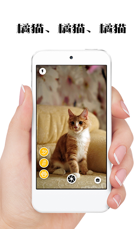 极简猫咪相机v1.0.5