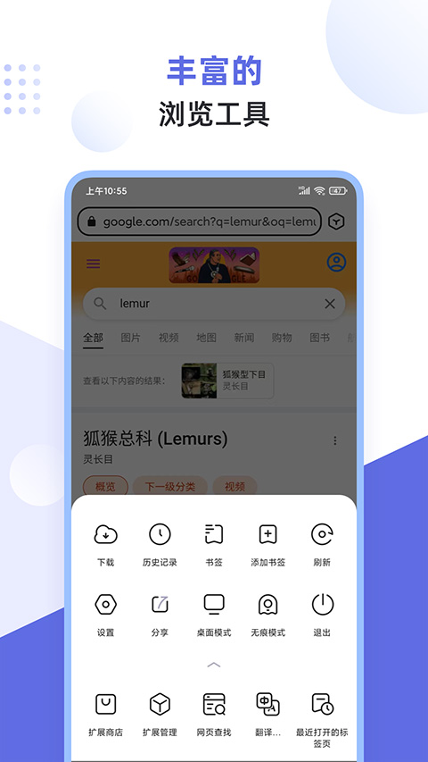 狐猴浏览器v2.6.1.029