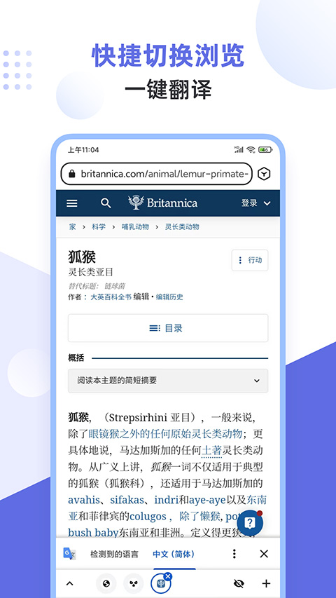 狐猴浏览器v2.6.1.029