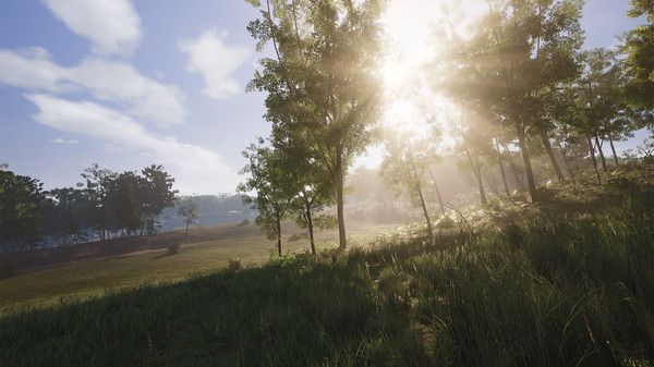 scum荒野求生v0.0.6