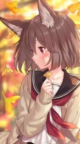 严选漫画v6.8.0