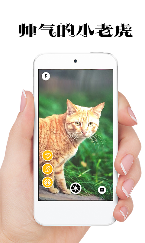 极简猫咪相机v1.0.5