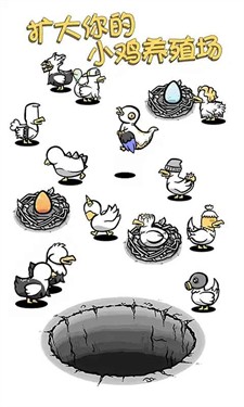 小鸡真奇怪v1.0.0