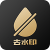 白云视频去水印v1.2.1