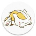 虎虎彩绘v1.0.3