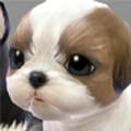 宠物饲养员v1.0.0