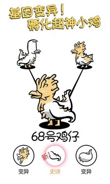 小鸡真奇怪v1.0.0