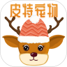 皮特宠物v1.0.34