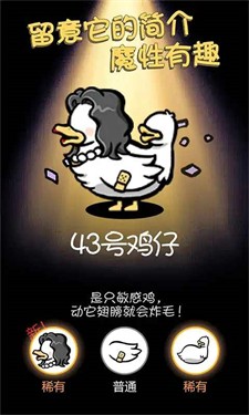 小鸡真奇怪v1.0.0