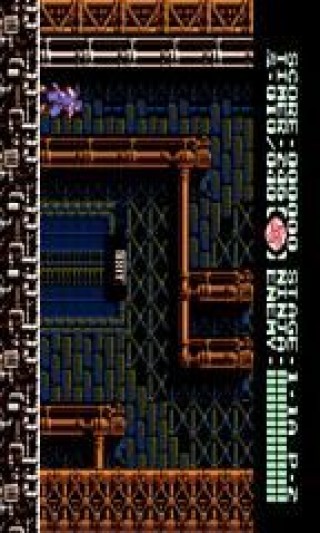 ninjaGaiden3v