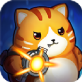 猫咪贼忙v2.0