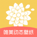 唯美动态壁纸v1.0.0