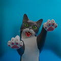 搞笑猫3Dv2.0
