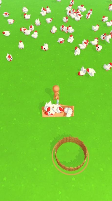 追寻小鸡v1.0.0