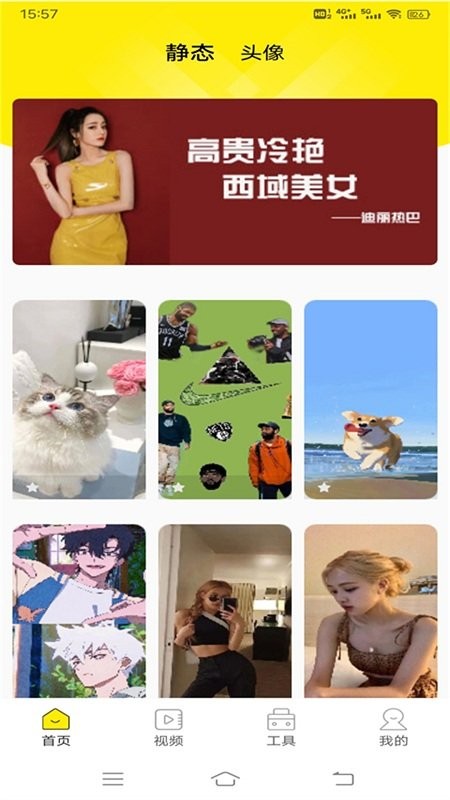白狐视频壁纸v1.0.2
