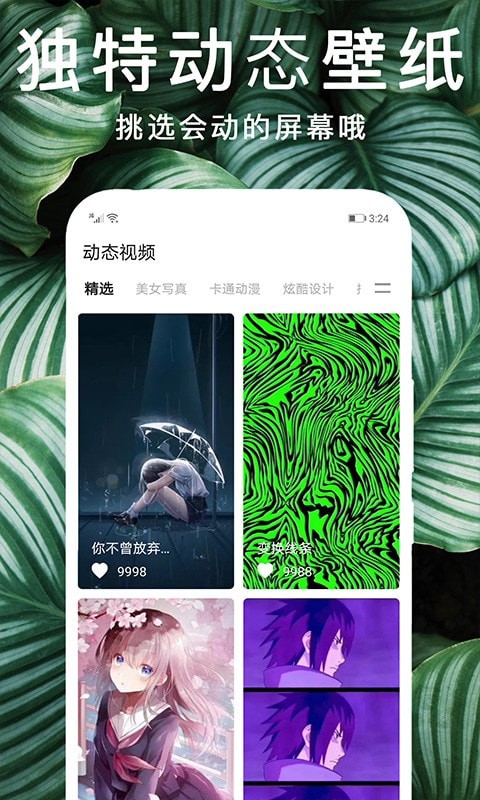 灵猫壁纸v1.0.0
