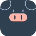 小猪翻译视频v1.0.1