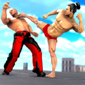 终极斗士街头格斗v1.9