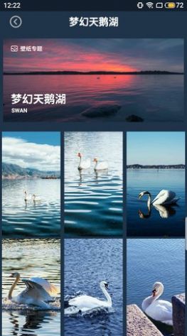 壁纸图片大师	v1.2.5