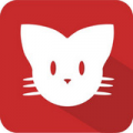 猫咪maomiavappv1.0.6