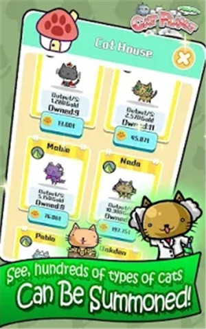 猫咪星球便便v1.1.6