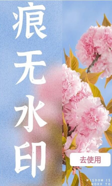 水印扣除v1.0.0